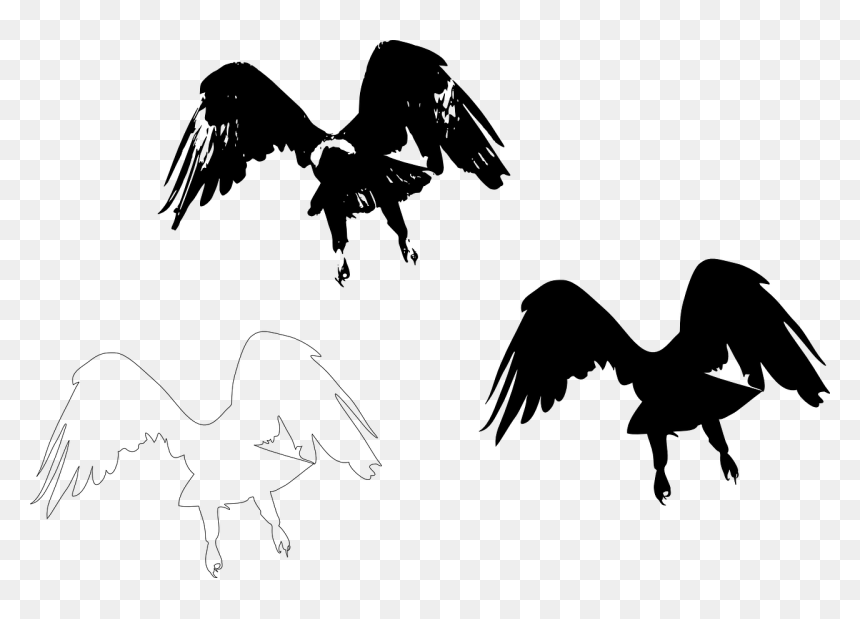 Silhouette Bird Wing Feather - Eagle Flying Away, HD Png Download - feather silhouette png