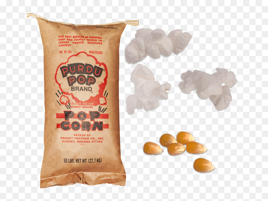 Purdu-white - Cushion, HD Png Download - popcorn kernel png
