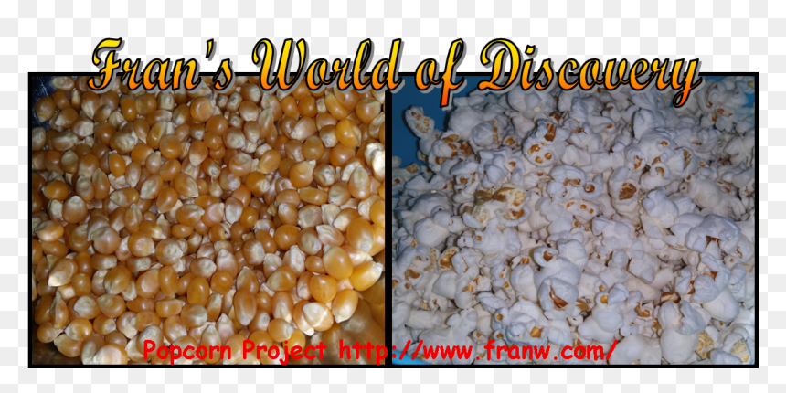 Corn Kernels , Png Download - Food, Transparent Png - popcorn kernel png