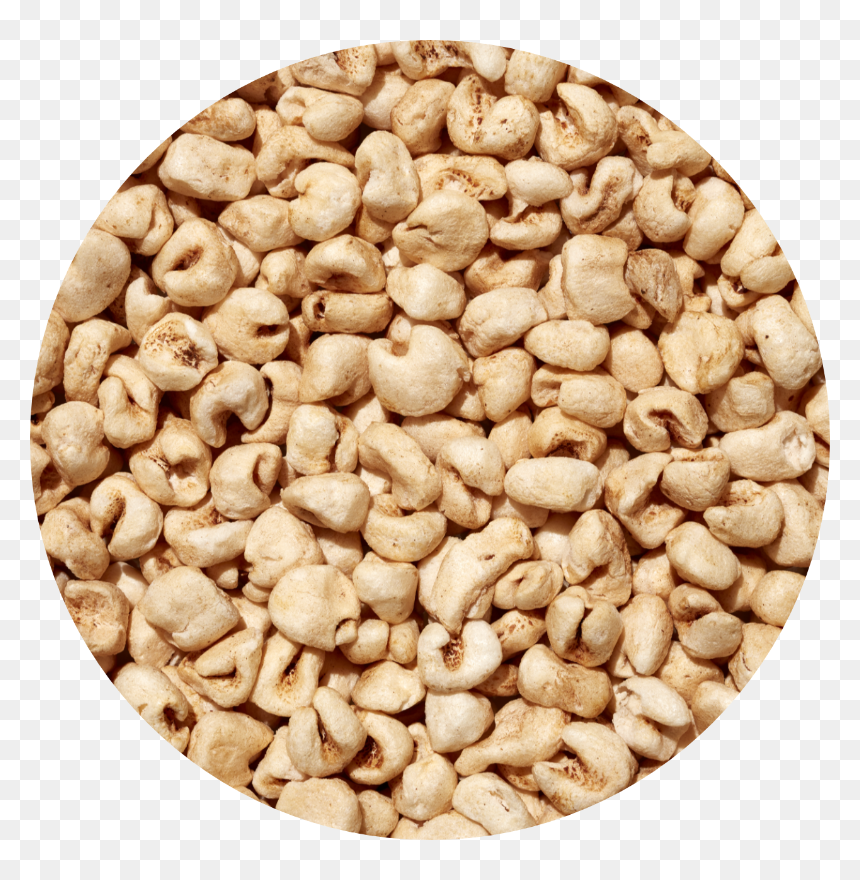 Nut, HD Png Download - popcorn kernel png