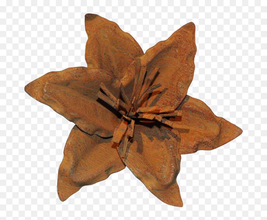 Clematis, HD Png Download - lily flower png