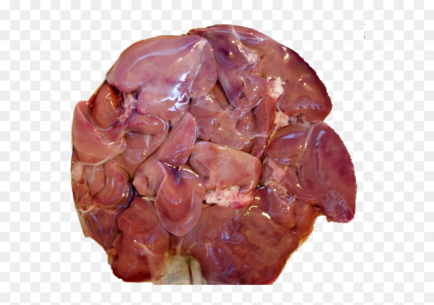 Chicken Liver & Pot - Chicken Kaleji Png, Transparent Png - liver png