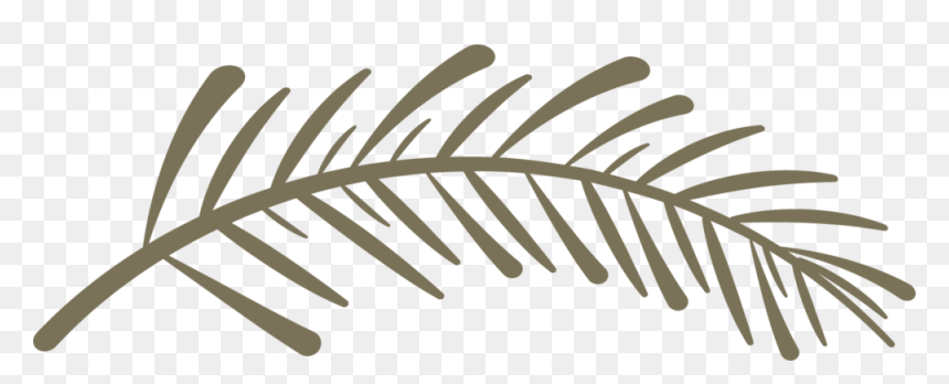 Spiritwood-pinebranch - Twig, HD Png Download - pine branch png
