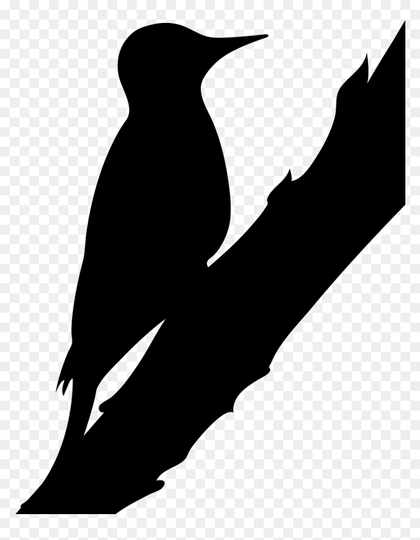 Silhouette Northern Flicker Clipart , Png Download - Northern Flicker Silhouette, Transparent Png - feather silhouette png