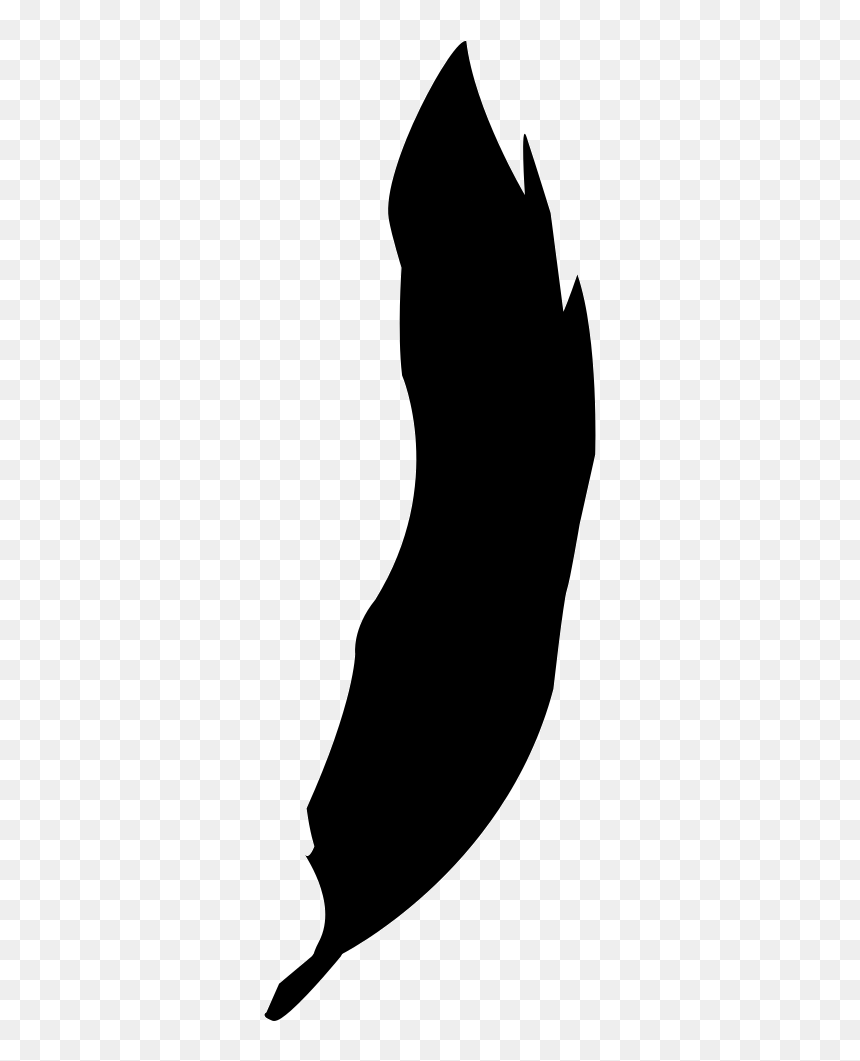 Feather Filled Silhouette - Mapa De Brasília De Minas, HD Png Download - feather silhouette png