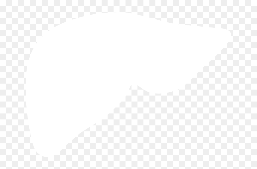 Liver Silhouette White, HD Png Download - liver png