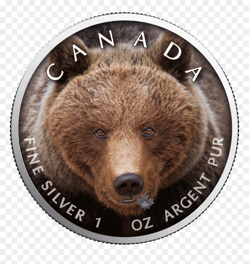 Canadian Gold Maple Leaf , Png Download - Grizzly Bear, Transparent Png - canadian leaf png