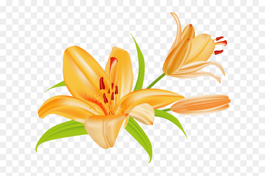 Lily Flower Bouquet Clipart - Flowers Clip Art Lily, HD Png Download - lily flower png