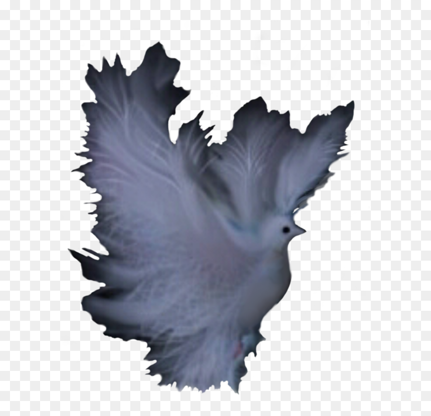 Tree,feather,leaf - Clip Art, HD Png Download - feather silhouette png