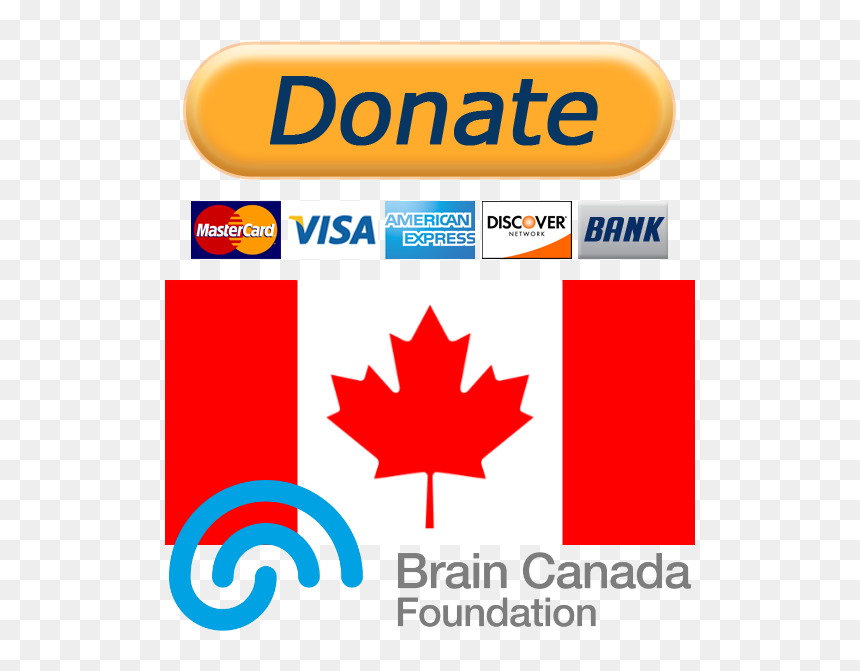 Transparent Brain - Icon Canada Flag Square, HD Png Download - canadian leaf png