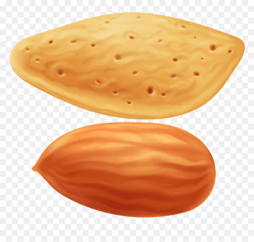 Free Png Download Almond Transparent Clipart Png Photo - Almond Clipart Png, Png Download - almonds png