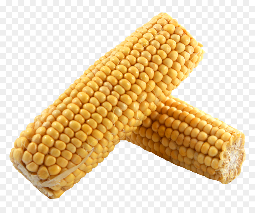 Dent Corn Png, Transparent Png - popcorn kernel png