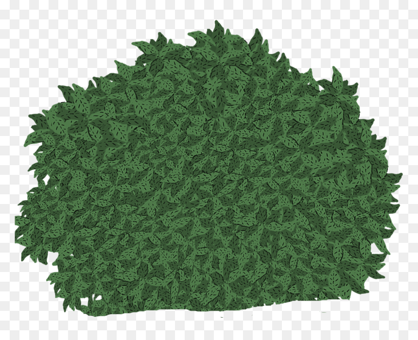 , Png Download - Crochet, Transparent Png - hanging moss png