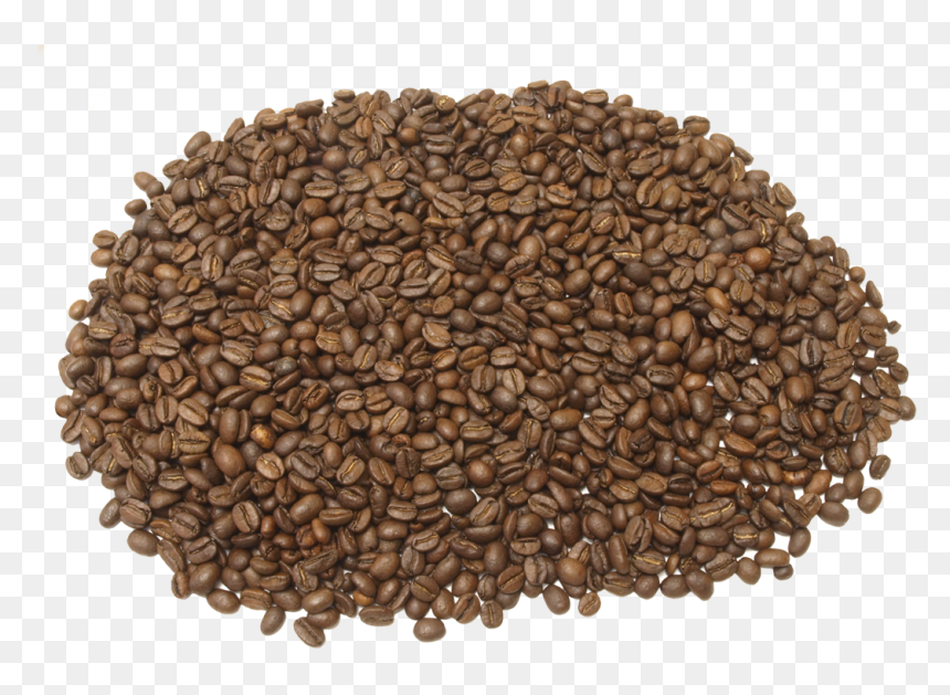 Coffee, HD Png Download - coffee bean vector png
