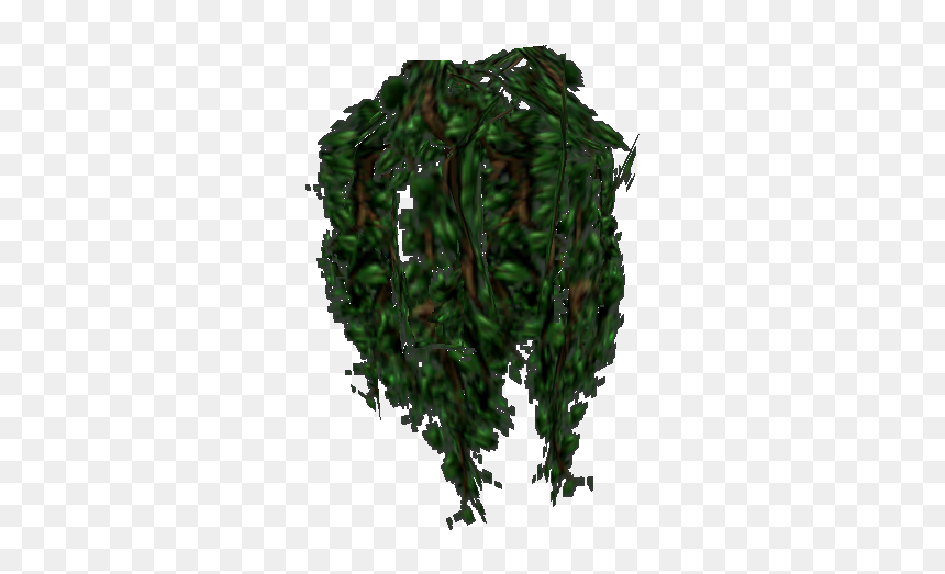 Illustration, HD Png Download - hanging moss png