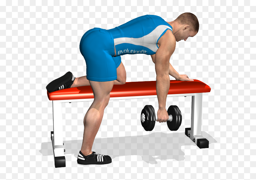 Bent Over Row On Bench, HD Png Download - muscle arm png