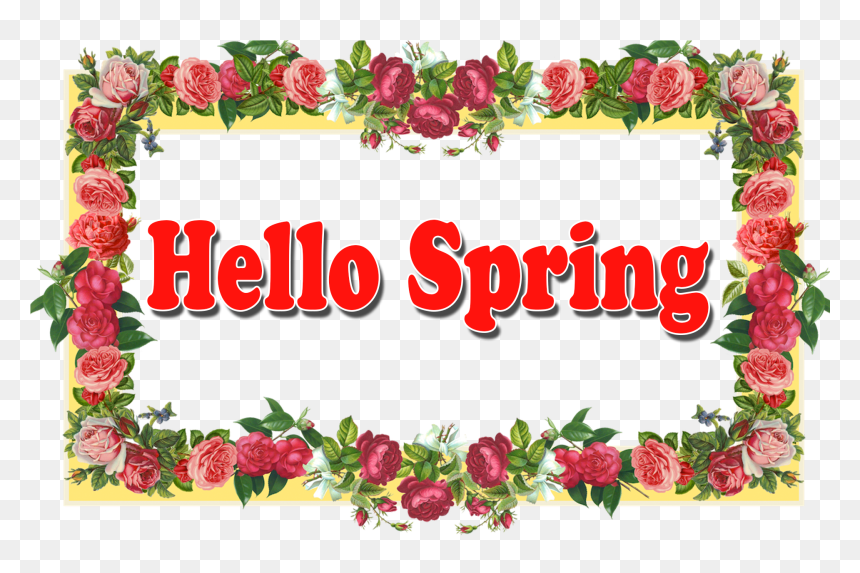 Flower Rose Border Design, HD Png Download - border designs png hd