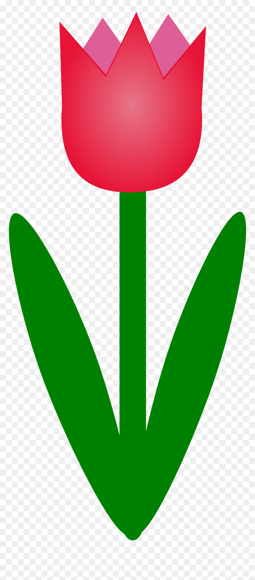 Tulip Clip Art, HD Png Download - single flowers png