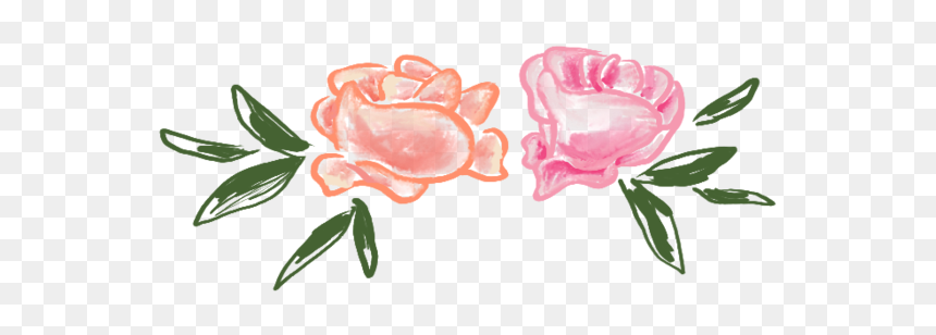Garden Roses, HD Png Download - single flowers png