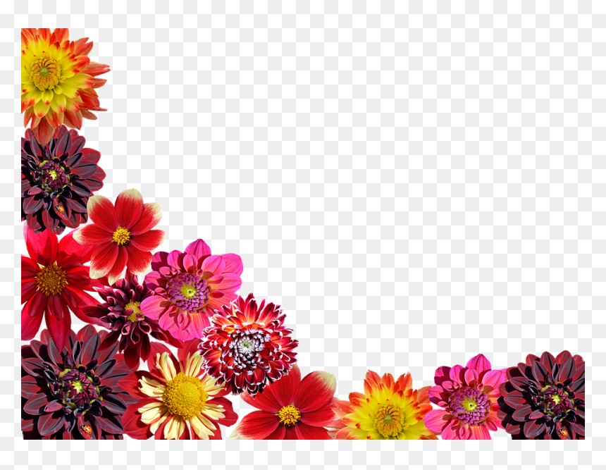 Flowers Garden Transparent, HD Png Download - dahlia flower png