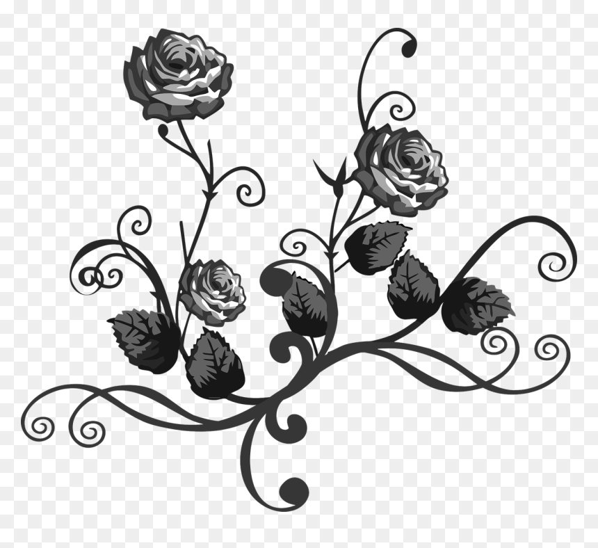 Roses Black And White Png, Transparent Png - floral art png