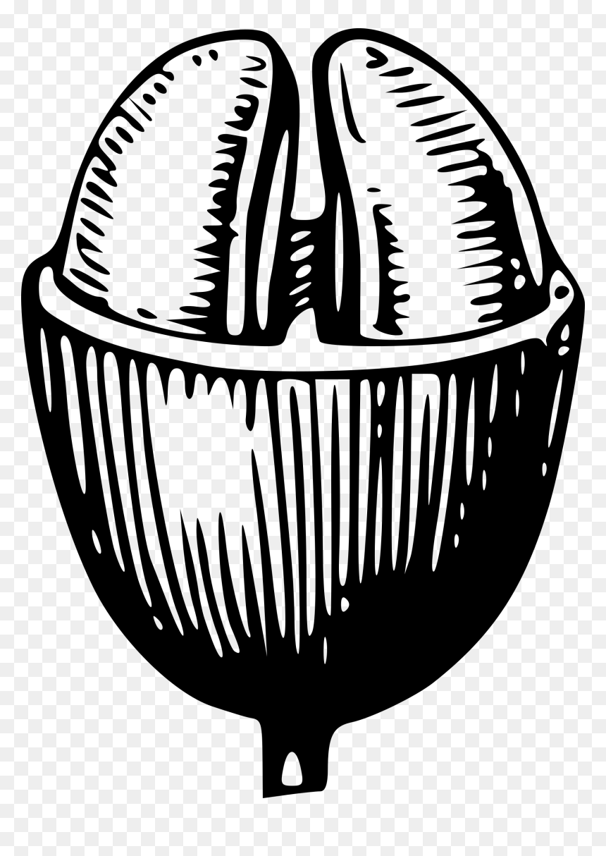 Free Vector Coffee Bean Clip Art - Vector Coffee Beans Illustration, HD Png Download - coffee bean vector png