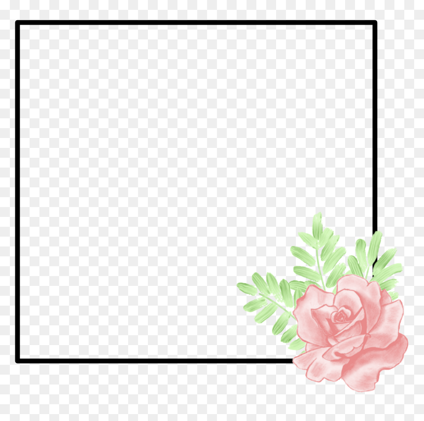 #frame #tumblr #flower #flowerframe #tumblrframe #becreative - Garden Roses, HD Png Download - tumblr flower png