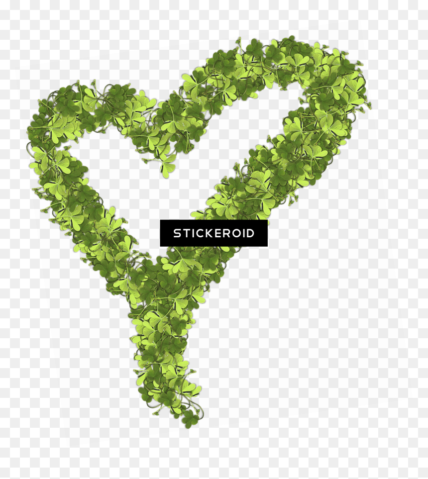 Heart Made Of Shamrocks , Png Download - Portable Network Graphics, Transparent Png - shamrocks png