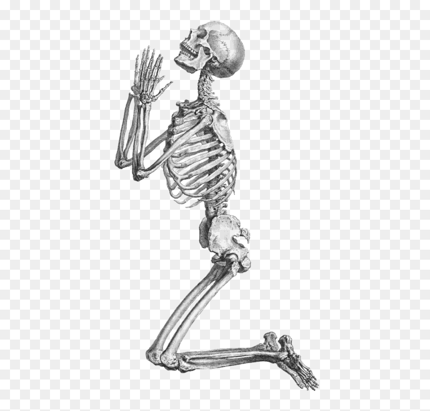 Prayer Human Skeleton Anatomy Clip Art - Skeleton Png, Transparent Png - skeletons png