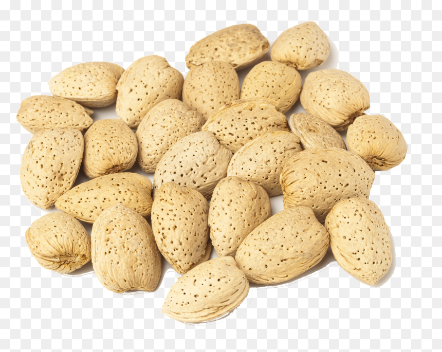 Almond, HD Png Download - almonds png