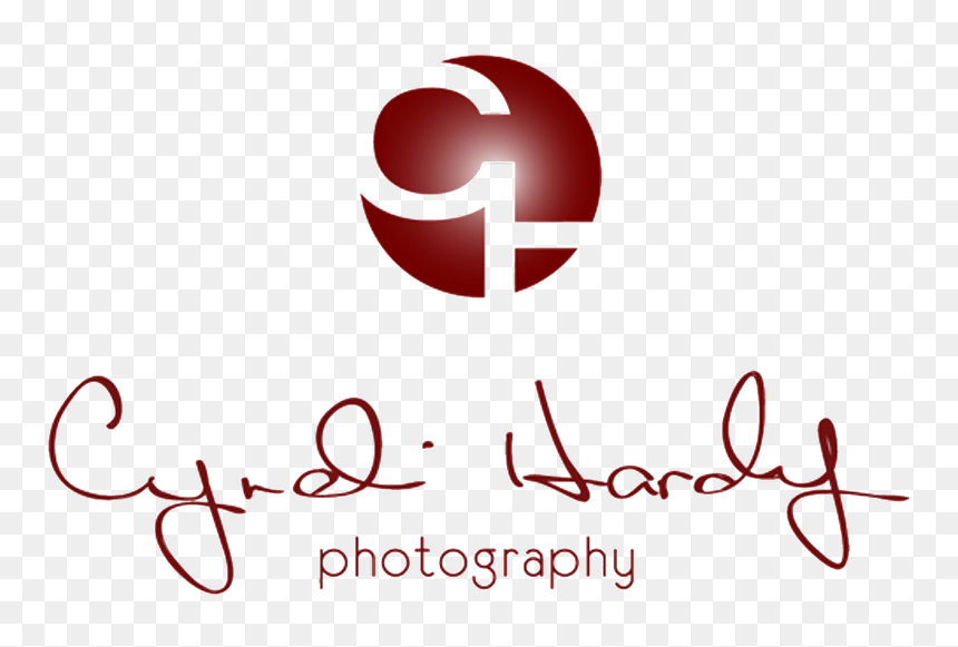 Scottsdale And Phoenix Wedding And Portrait Photographer - Calligraphy, HD Png Download - funny moments png