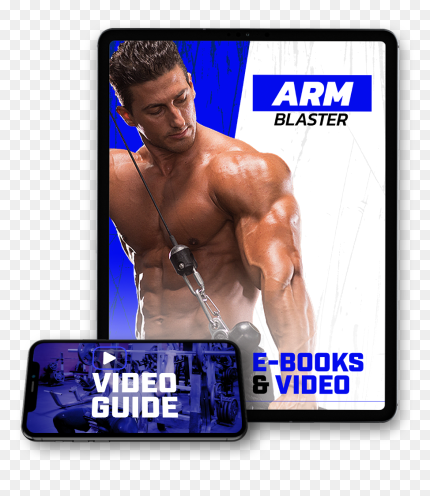 Arm Program - Bodybuilding, HD Png Download - muscle arm png