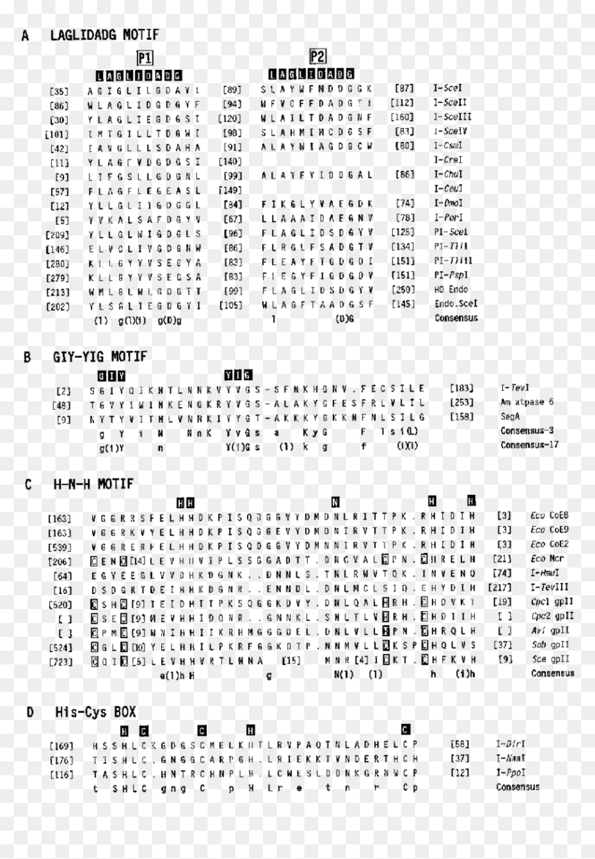 Document, HD Png Download - bracket frame png