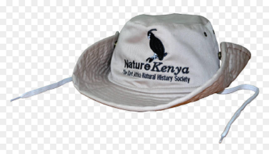 Transparent Sailfish Clipart - Sparrow, HD Png Download - safari hat png