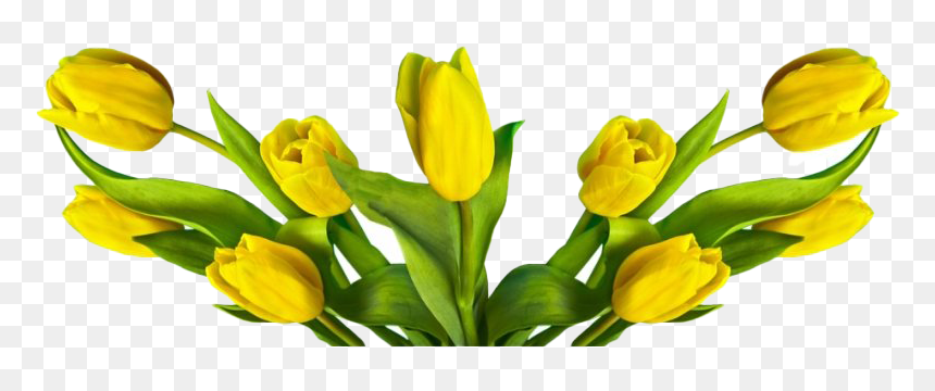 Easter Flower Transparent Png - Easter Flowers Png, Png Download - easter lily png