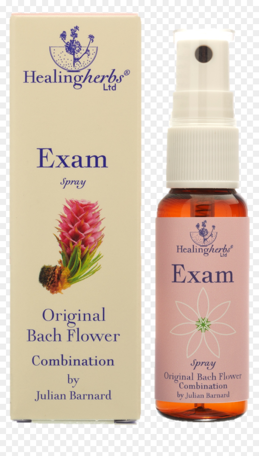 Florais De Bach Para Concentração , Png Download - Bach, Transparent Png - florais png