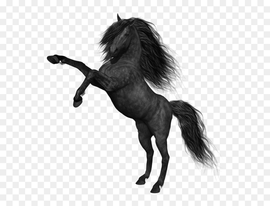 Black Horse Png Picture - Mustang Horse Png, Transparent Png - white horse png