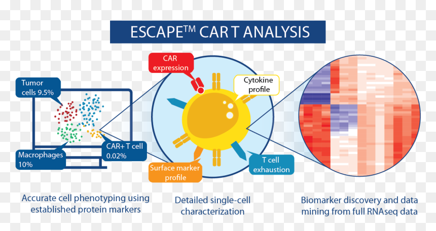 Image Courtesy - Proteona - Proteona Escape Technology, HD Png Download - marker circle png