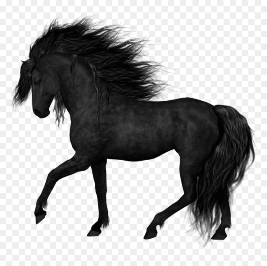Download Black Horsepicture Png Images Background - Black Horse Png, Transparent Png - white horse png