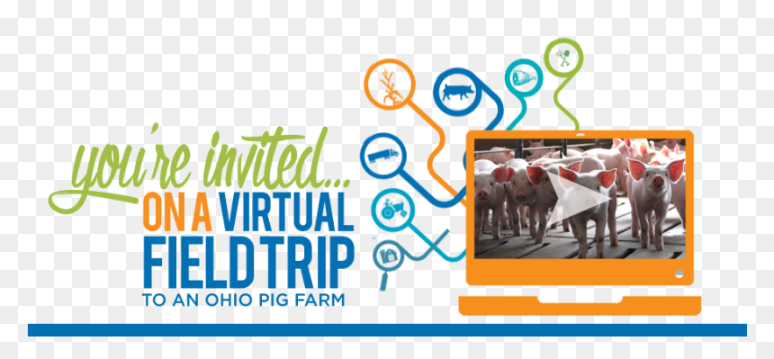 You"re Invited On A Virtual Field Trip To An Ohio Pig - Salt River Fields At Talking Stick, HD Png Download - you are invited png