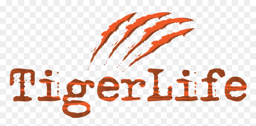 Live Videos On Youtube, HD Png Download - youtube live png