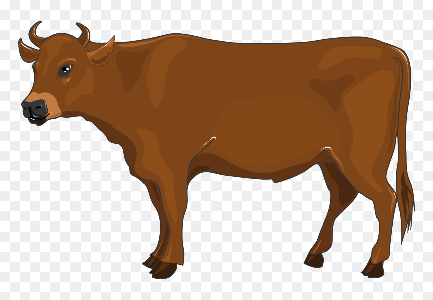 Thumb Image - Boeuf Png, Transparent Png - boi hand png
