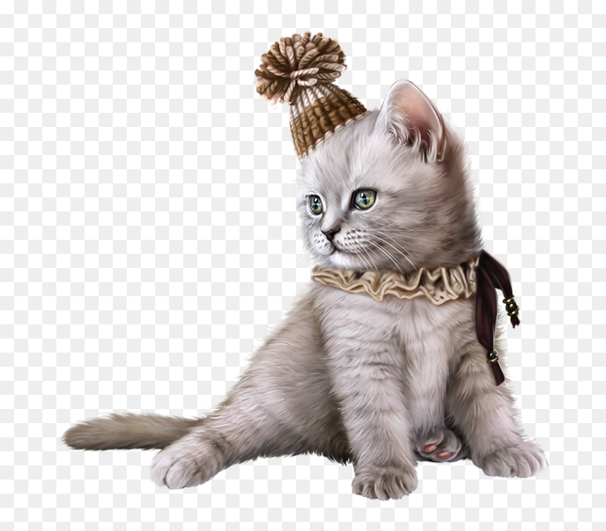 Pin By Janet Iannarone - Transparent Chat Animal, HD Png Download - cute cat png