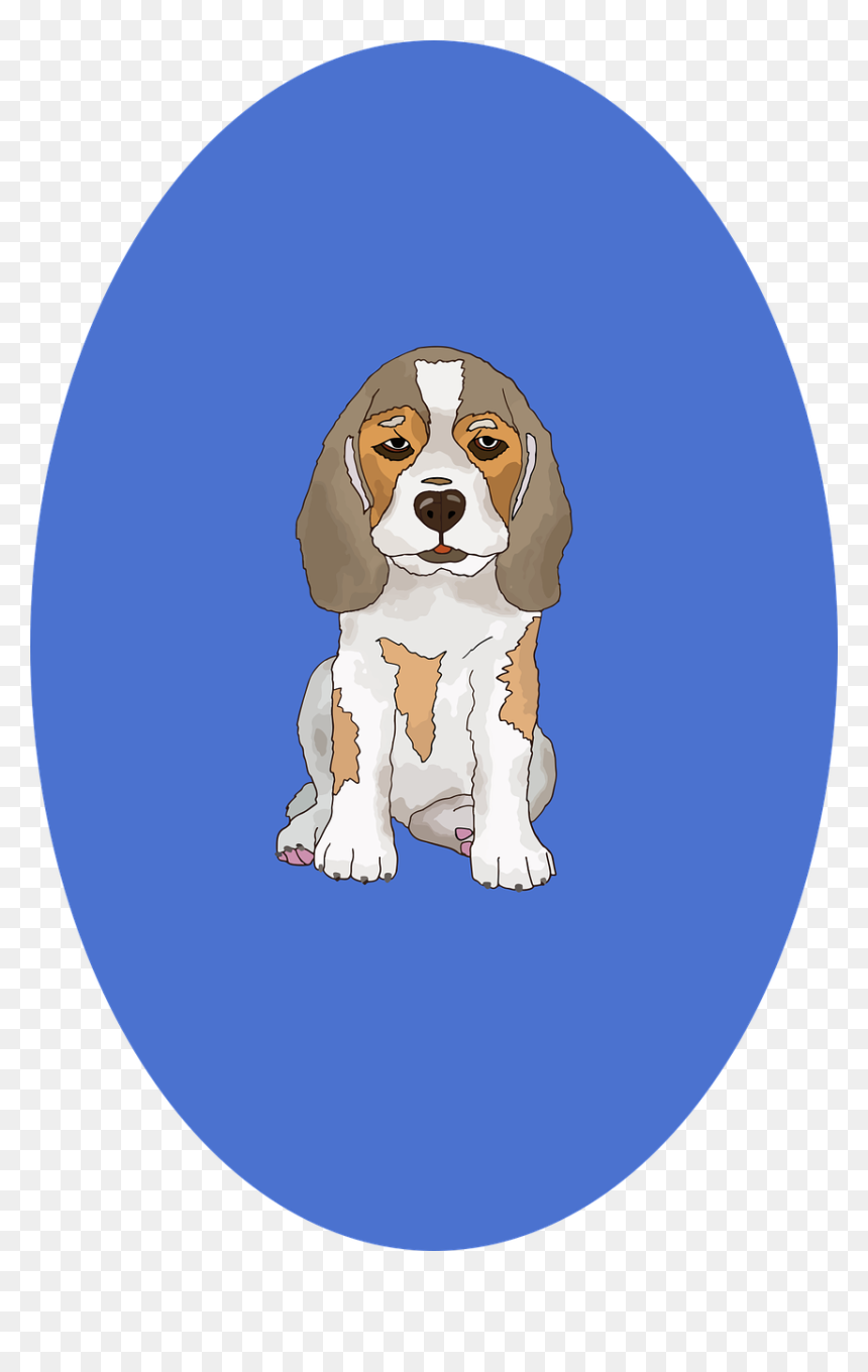 Beaglier, HD Png Download - cute puppy png