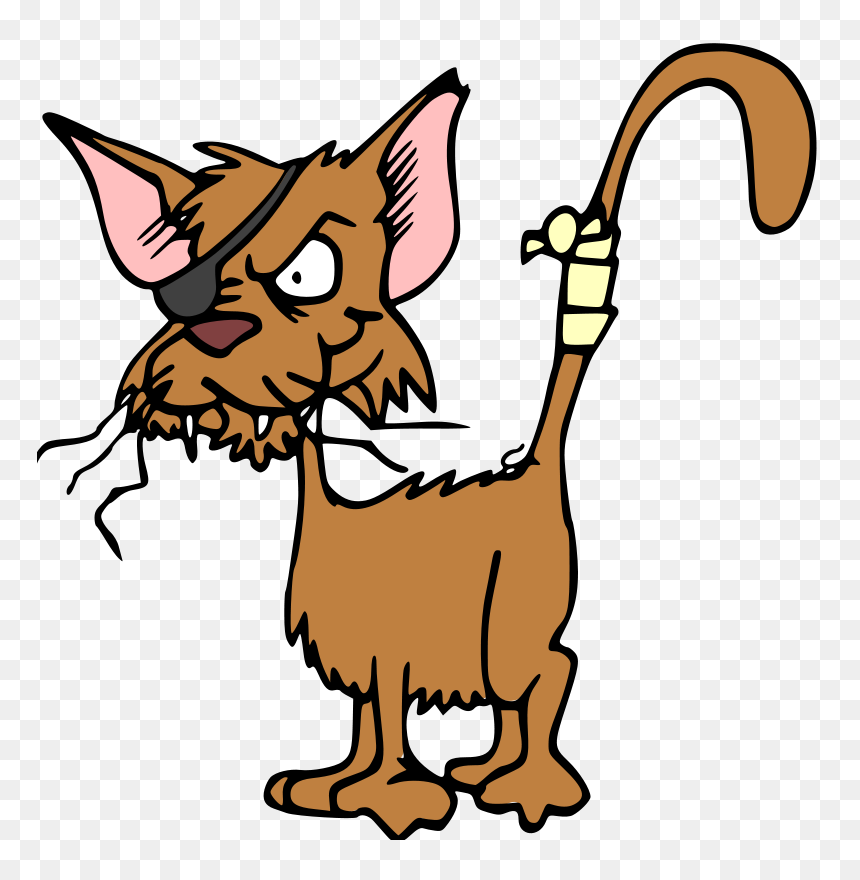 Cute Cat Images Hd Photo Clipart - Clipart Fighting Cat, HD Png Download - cute cat png