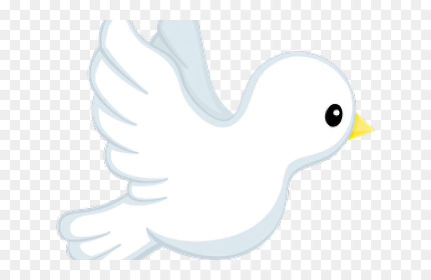 Transparent Peace Dove Clipart - Pigeons And Doves, HD Png Download - baptism png