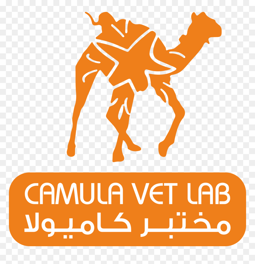Arabian Camel, HD Png Download - lab png