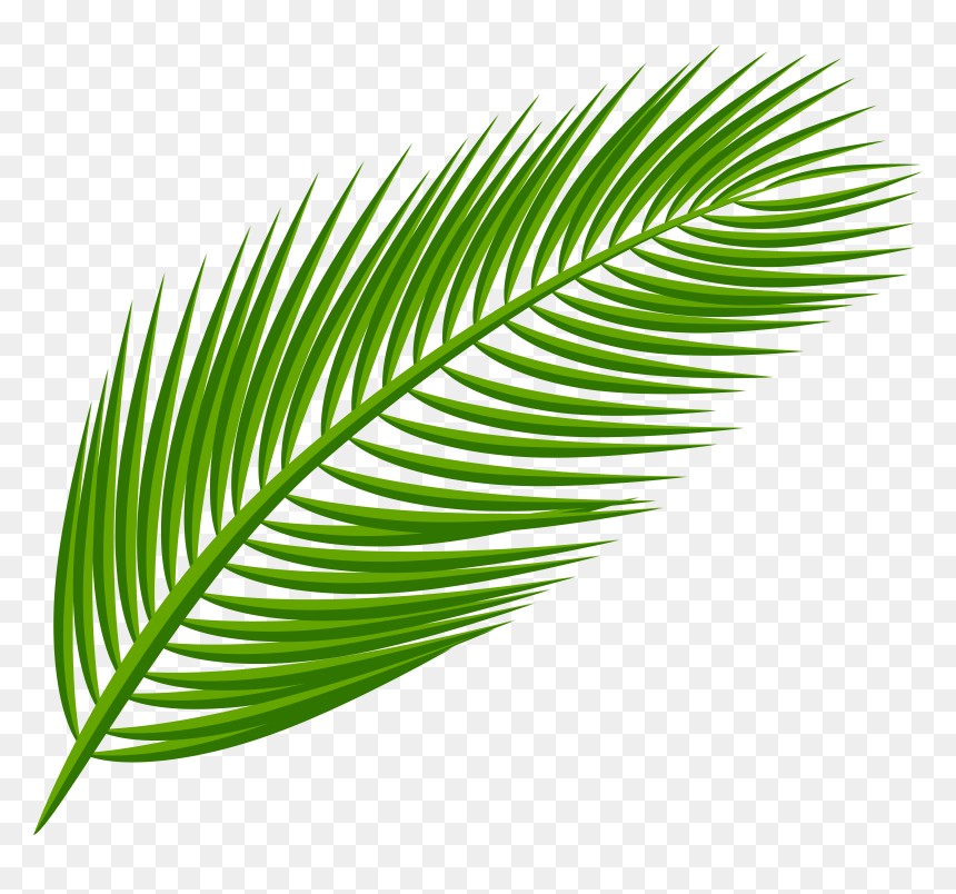 Arecaceae Palm Leaf Transparent Png File Hd Clipart, Png Download - banana leaf png