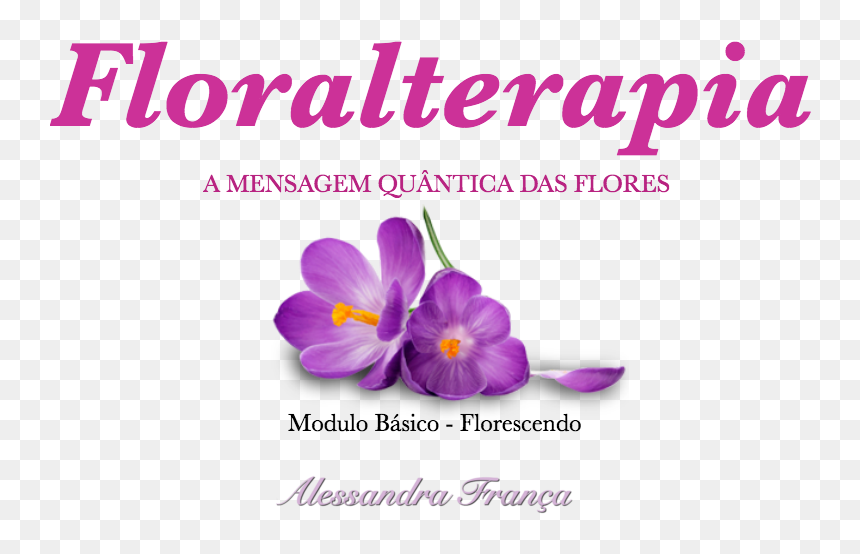 Snow Crocus, HD Png Download - florais png