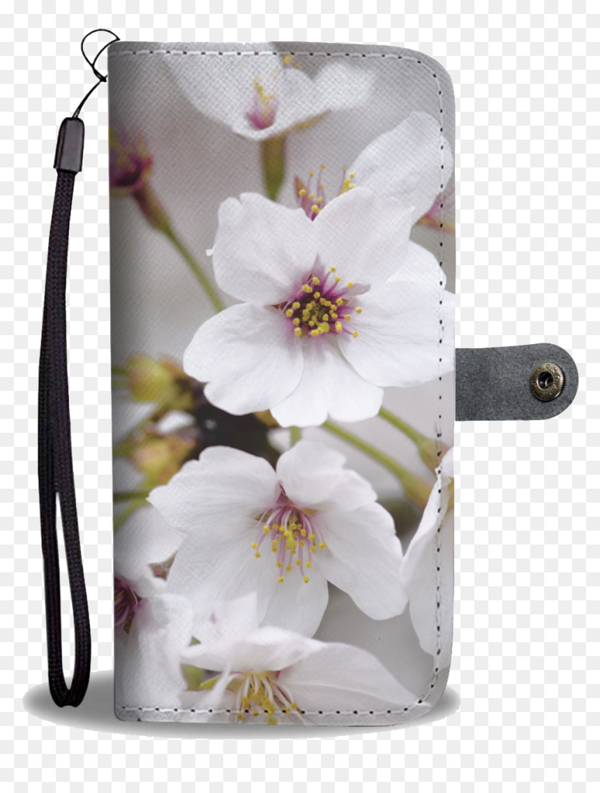 Cherry Blossom, Transparent Png - Cherry Blossom, Png Download - cherry blossom flower png